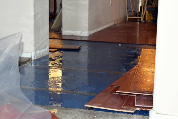 Professional Flood Damage Restoration technician working in Decatur, IL
